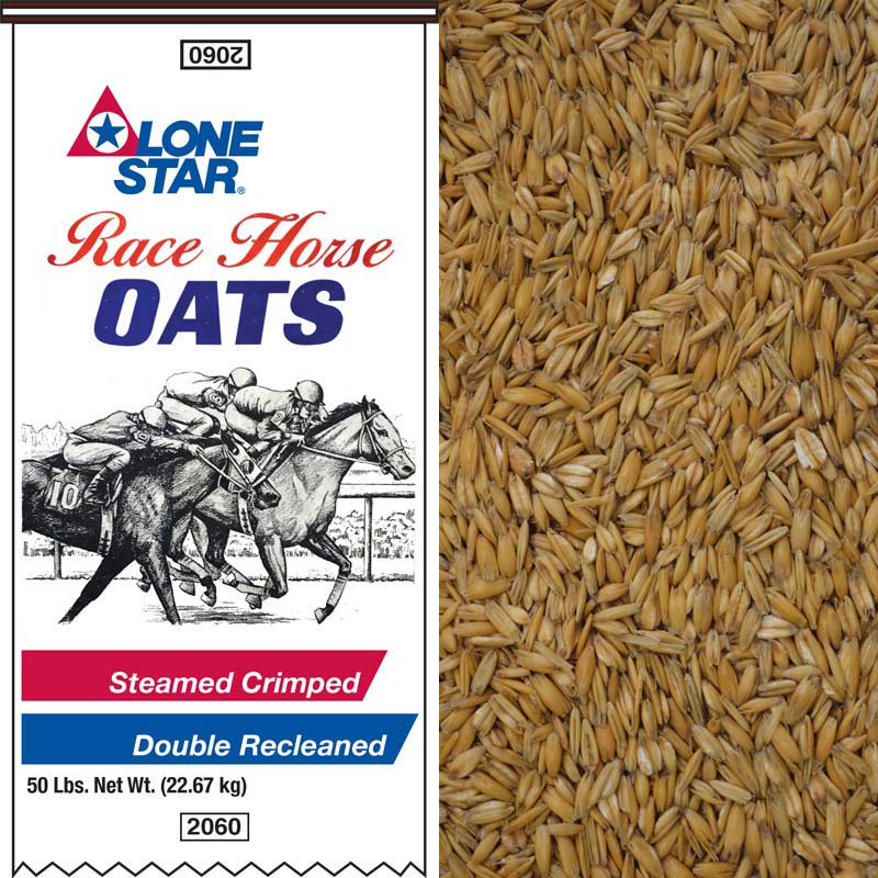 Race Horse Crimped Oats