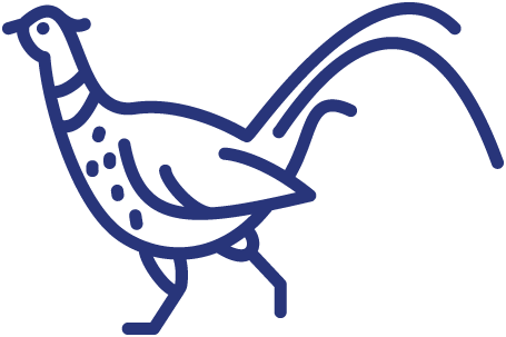pheasant icon