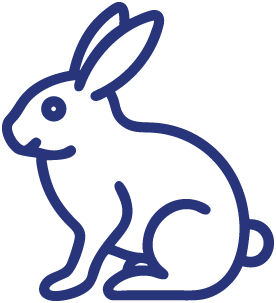 rabbit icon