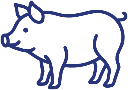 swine icon