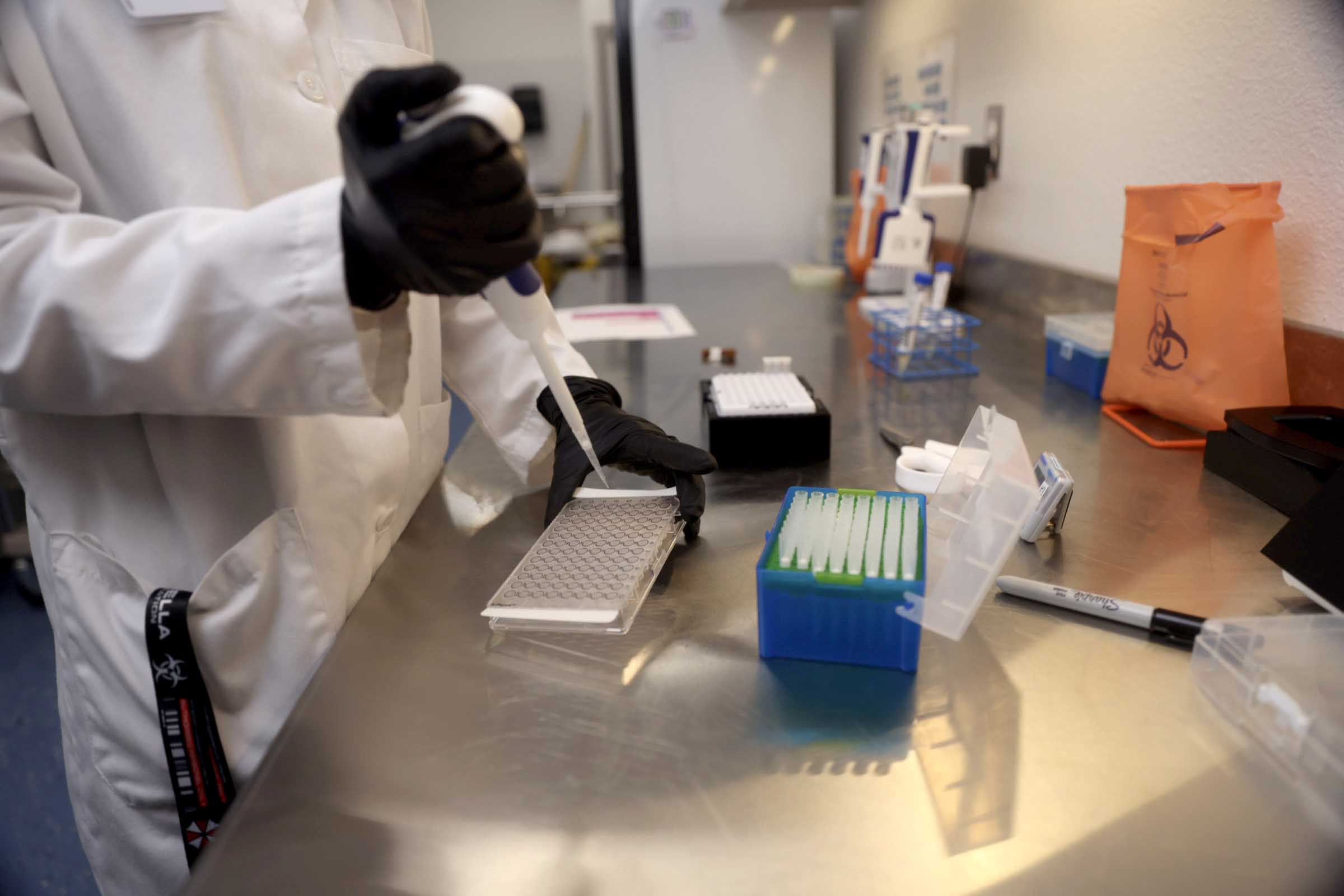 Scientist filling containers of test tubes.