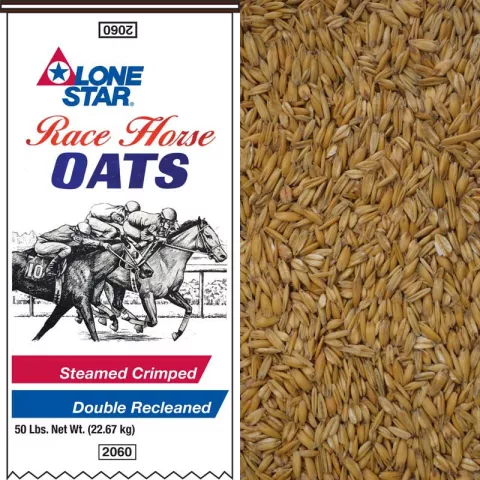 Race Horse Crimped Oats